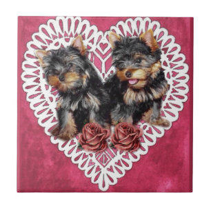 Yorkshire Terrier Puppies Valentines Fliese