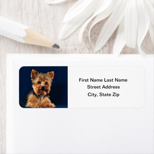 Yorkshire Terrier Puppy (Insitu)