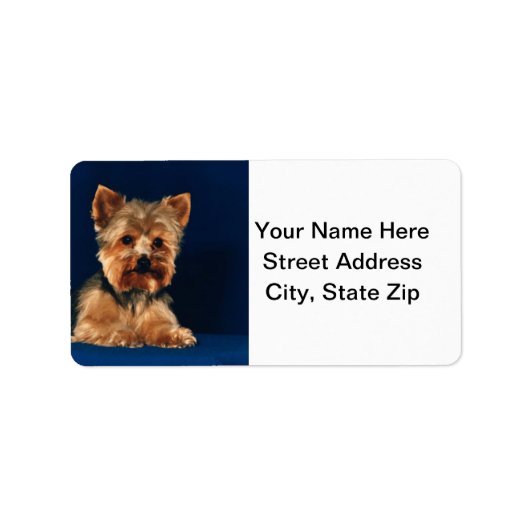 Yorkshire Terrier Puppy Adressaufkleber (Vorne)