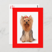 Yorkshire Terrier Puppy Dog Blank Red Postcard Postkarte (Vorne/Hinten)