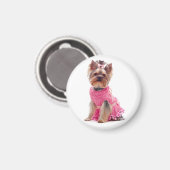 Yorkshire Terrier Puppy Dog in einem rosa Kleiderm Magnet (Vorderseite/Rückseite)