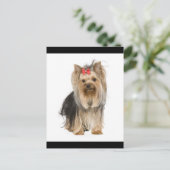 Yorkshire Terrier Puppy Dog leere Postkarte (Stehend Vorderseite)