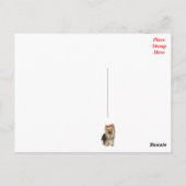 Yorkshire Terrier Puppy Dog leere Postkarte (Rückseite)