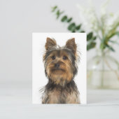 Yorkshire Terrier Puppy Doppy Blank Post Card Postkarte (Stehend Vorderseite)