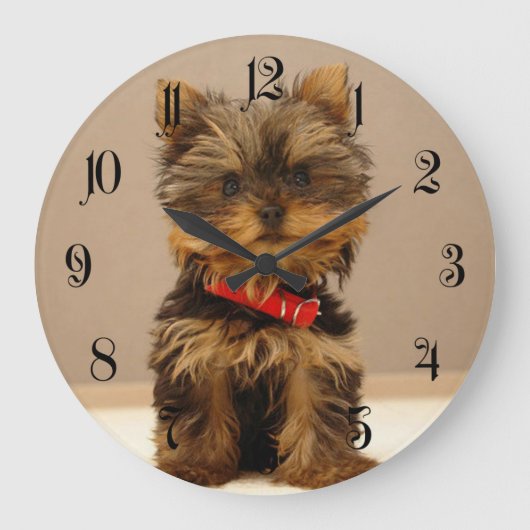 Yorkshire Terrier Puppy Große Wanduhr (Vorderseite)