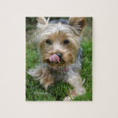 Yorkshire Terrier Puppy - "jjhelene design" Puzzle (Vertikal)