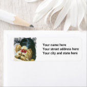 Yorkshire Terrier Puppy Playing (Insitu)