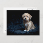 Yorkshire Terrier Puppy Postcard Postkarte (Vorne/Hinten)