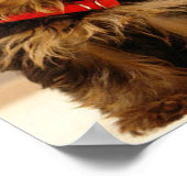Yorkshire Terrier Puppy Poster (Ecke)