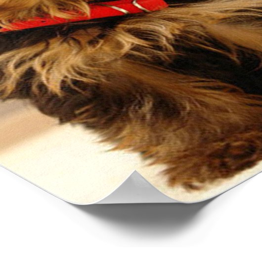 Yorkshire Terrier Puppy Poster (Ecke)