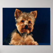 Yorkshire Terrier Puppy Poster (Vorne)
