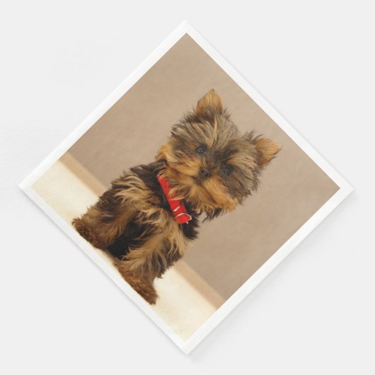 Yorkshire Terrier Puppy Serviette (Ecke)