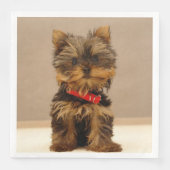 Yorkshire Terrier Puppy Serviette (Vorderseite)