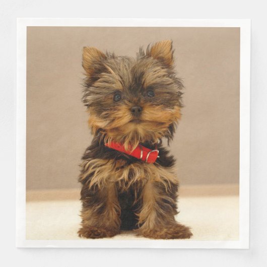 Yorkshire Terrier Puppy Serviette (Vorderseite)