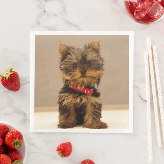 Yorkshire Terrier Puppy Serviette (Beispiel)