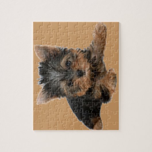 YORKSHIRE TERRIER PUZZLE (Vertikal)