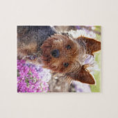 Yorkshire Terrier Puzzle (Horizontal)