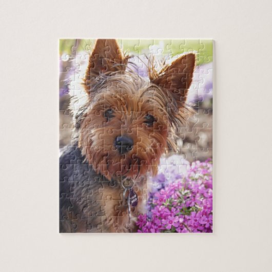 Yorkshire Terrier Puzzle (Vertikal)