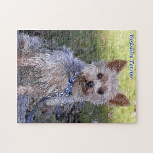 Yorkshire Terrier Puzzle (Horizontal)