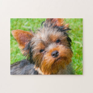 Yorkshire Terrier Puzzle