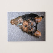 Yorkshire Terrier Puzzle (Horizontal)
