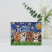 Yorkshire Terrier Quad - Starry Night Postkarte (Stehend Vorderseite)