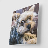 Yorkshire Terrier Quadratische Wanduhr (Winkel)