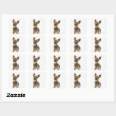 Yorkshire Terrier Quadratischer Aufkleber (Blatt)