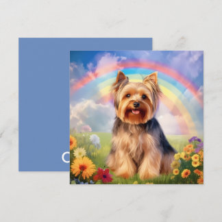Yorkshire Terrier Rainbow Bridge Yorkie Beileid