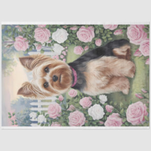 Yorkshire Terrier Rosen Garten Malerei Dekupage Seidenpapier