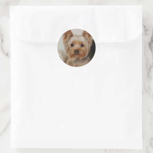 Yorkshire Terrier Runder Aufkleber (Tasche)