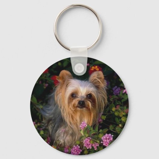 Yorkshire Terrier Schlüsselanhänger (Vorderseite)