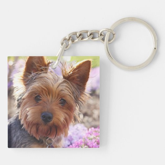 Yorkshire Terrier Schlüsselanhänger (Rückseite)