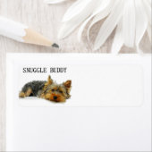 Yorkshire-Terrier-Schnurrbart (Insitu)