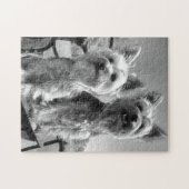 Yorkshire-Terrier, Schwarzweiss, Puzzle (Horizontal)