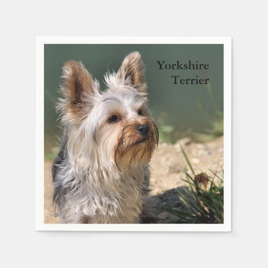 Yorkshire Terrier Serviette (Vorderseite)