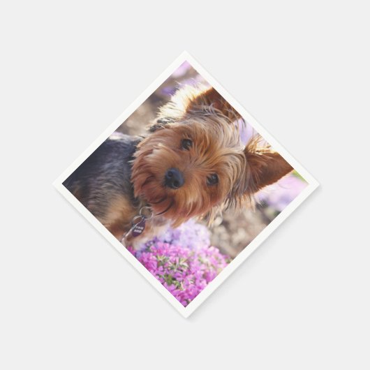 Yorkshire Terrier Serviette (Ecke)