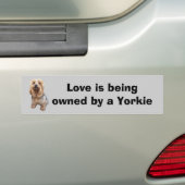 Yorkshire-Terrier-so niedlicher Autoaufkleber (Auf Auto)