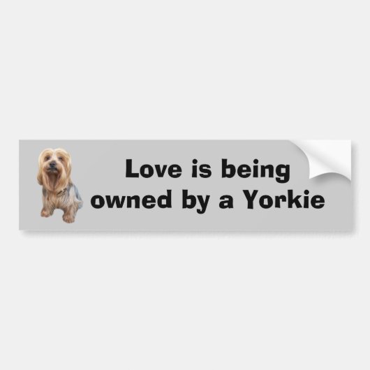 Yorkshire-Terrier-so niedlicher Autoaufkleber (Vorne)