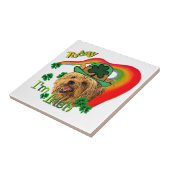 Yorkshire Terrier St Patricks Fliese (Seite)