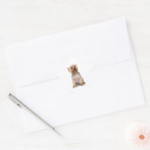 Yorkshire Terrier Stern-Aufkleber (Umschlag)