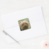 Yorkshire Terrier Stickers (Umschlag)