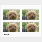 Yorkshire Terrier Stickers (Blatt)