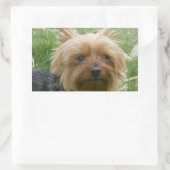 Yorkshire Terrier Stickers (Tasche)
