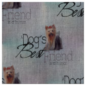 Yorkshire Terrier Stoff (Nahaufnahme)