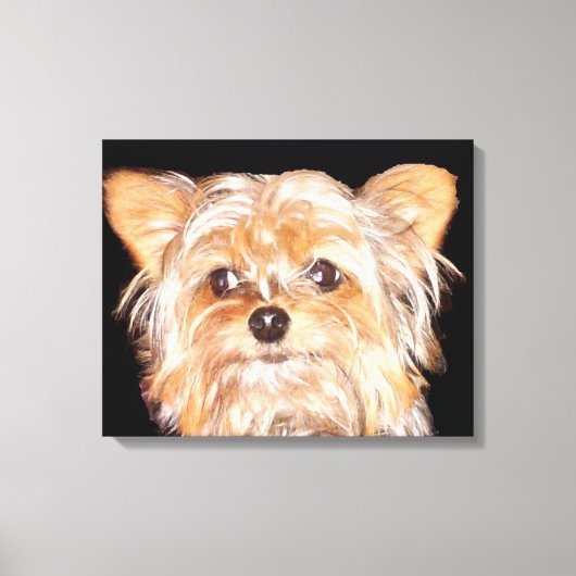 Yorkshire Terrier Stretched Canvas Print Leinwanddruck (Vorderseite)