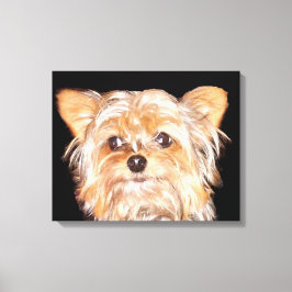 Yorkshire Terrier Stretched Canvas Print Leinwanddruck
