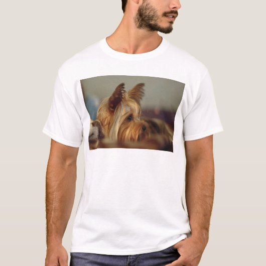 Yorkshire Terrier T-Shirt (Vorderseite)