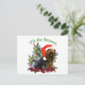 Yorkshire Terrier "Tis Postkarte (Stehend Vorderseite)