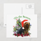 Yorkshire Terrier "Tis Postkarte (Vorne/Hinten)